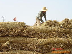 天门市胡市日盛农副产品销售中心 开启食品互联网销售新篇章