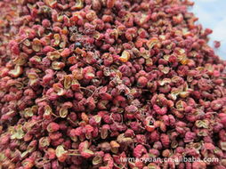 莱芜市茂源农副产品购销 立足本土，服务城乡的优质农产品供应商