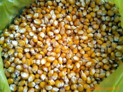 宣威市永安盛祥农副产品商贸 助力乡村振兴，打造农副产品销售新典范