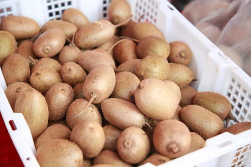 汉滨区消费扶贫月活动盛大启动，现场签约额达2140余万元，食品互联网销售引领新风尚