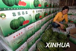 上海农副产品销售规模突破900亿元 市场发展与消费趋势分析